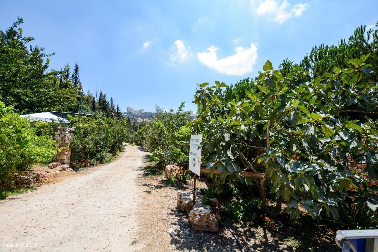Tur Sinai Organic Farm Resort Jerusalem Exterior photo